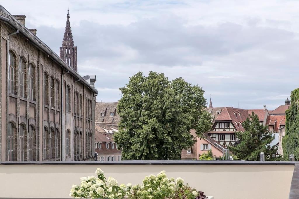 L'Academie - Magnifique 3 Chambres Krutenau Avec Parking Strasbourg Ngoại thất bức ảnh